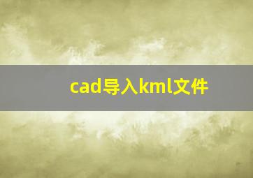 cad导入kml文件