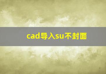 cad导入su不封面