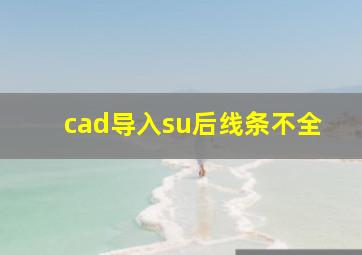 cad导入su后线条不全