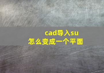 cad导入su怎么变成一个平面