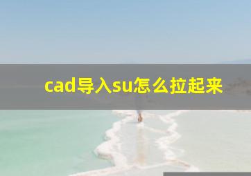 cad导入su怎么拉起来