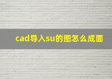 cad导入su的图怎么成面