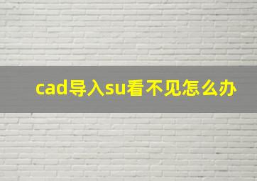 cad导入su看不见怎么办