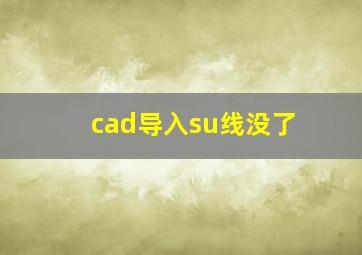 cad导入su线没了