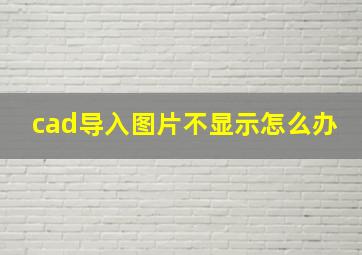 cad导入图片不显示怎么办