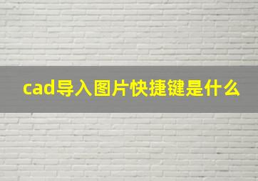 cad导入图片快捷键是什么