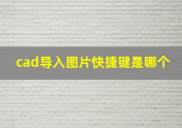 cad导入图片快捷键是哪个