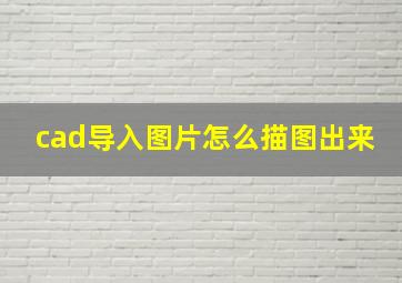 cad导入图片怎么描图出来