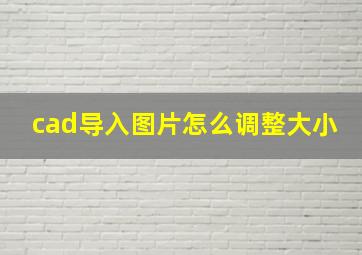 cad导入图片怎么调整大小