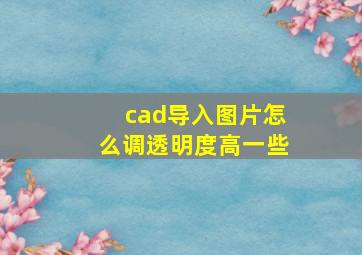 cad导入图片怎么调透明度高一些