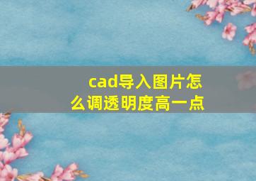 cad导入图片怎么调透明度高一点