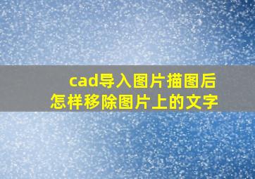 cad导入图片描图后怎样移除图片上的文字