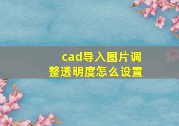 cad导入图片调整透明度怎么设置