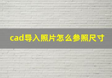 cad导入照片怎么参照尺寸