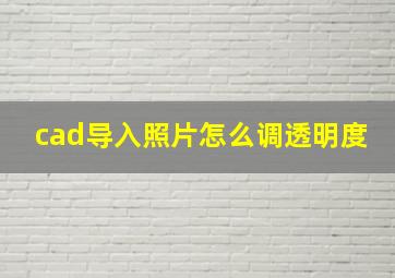 cad导入照片怎么调透明度