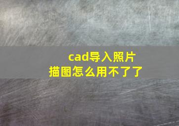 cad导入照片描图怎么用不了了