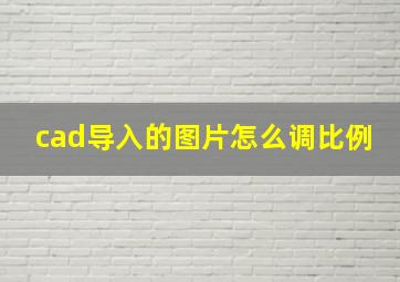 cad导入的图片怎么调比例