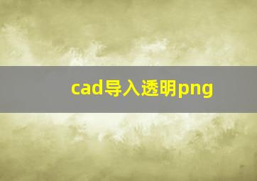 cad导入透明png