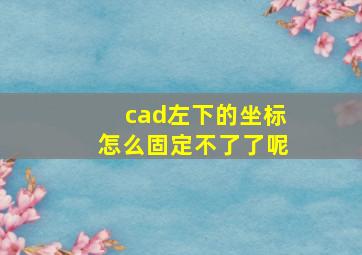 cad左下的坐标怎么固定不了了呢