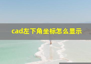 cad左下角坐标怎么显示