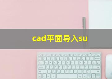 cad平面导入su