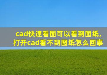 cad快速看图可以看到图纸,打开cad看不到图纸怎么回事