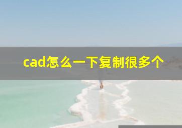 cad怎么一下复制很多个