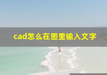 cad怎么在图里输入文字