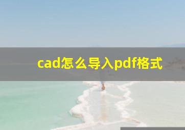 cad怎么导入pdf格式