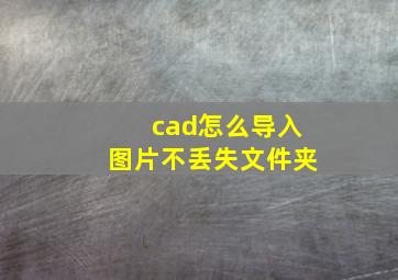 cad怎么导入图片不丢失文件夹