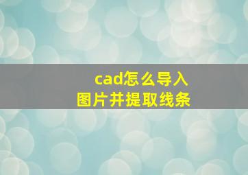 cad怎么导入图片并提取线条