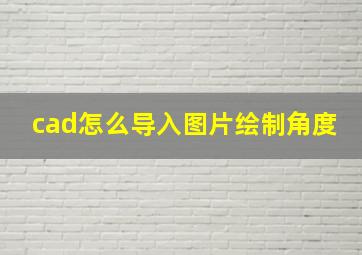 cad怎么导入图片绘制角度