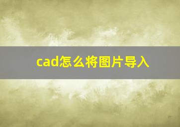 cad怎么将图片导入