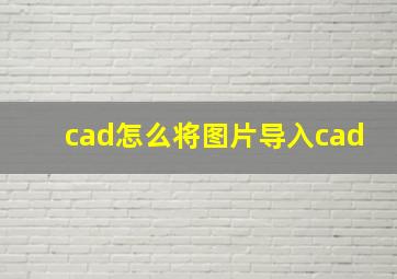 cad怎么将图片导入cad