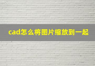 cad怎么将图片缩放到一起