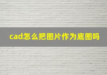 cad怎么把图片作为底图吗