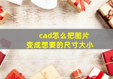 cad怎么把图片变成想要的尺寸大小