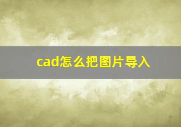 cad怎么把图片导入