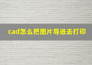 cad怎么把图片导进去打印