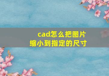 cad怎么把图片缩小到指定的尺寸