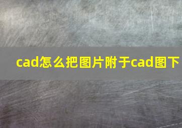 cad怎么把图片附于cad图下