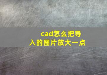 cad怎么把导入的图片放大一点