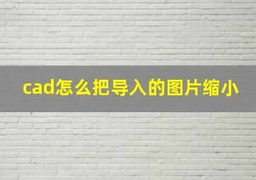 cad怎么把导入的图片缩小