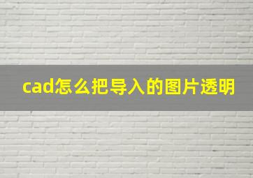 cad怎么把导入的图片透明