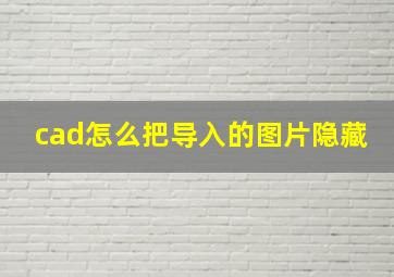 cad怎么把导入的图片隐藏