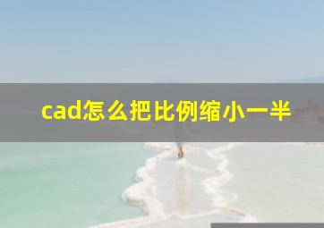 cad怎么把比例缩小一半