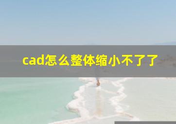 cad怎么整体缩小不了了