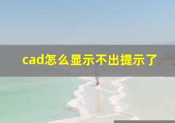 cad怎么显示不出提示了