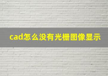 cad怎么没有光栅图像显示