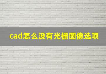 cad怎么没有光栅图像选项